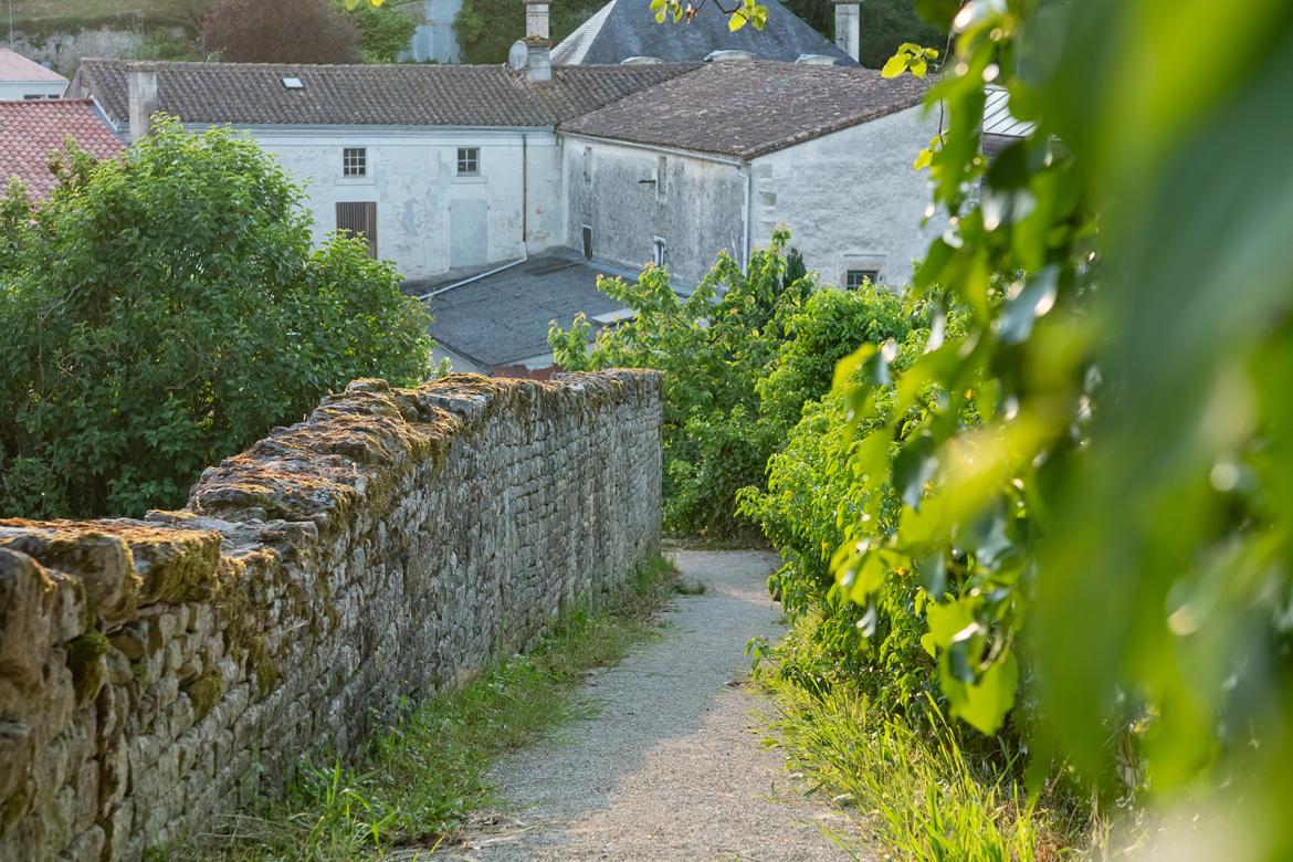 Sur le chemin de l'école