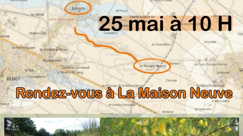 Découverte de la vallée de Vaugent à Lesson Découverte de la vallée de Vaugent à Lesson