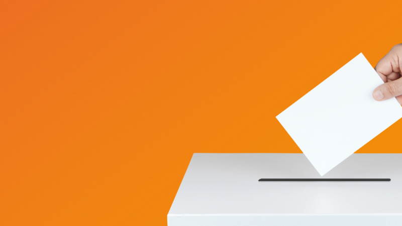 élections municipales