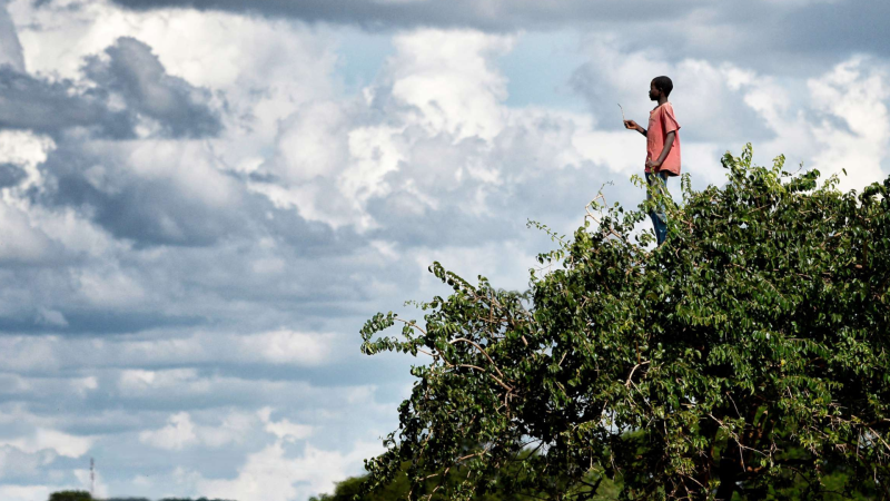 printemps des poètes
