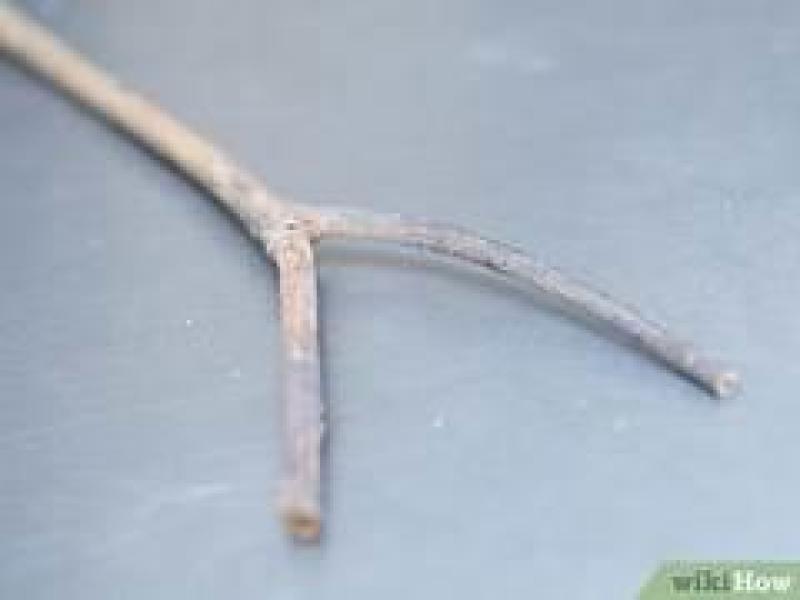 Baguette de sourcier