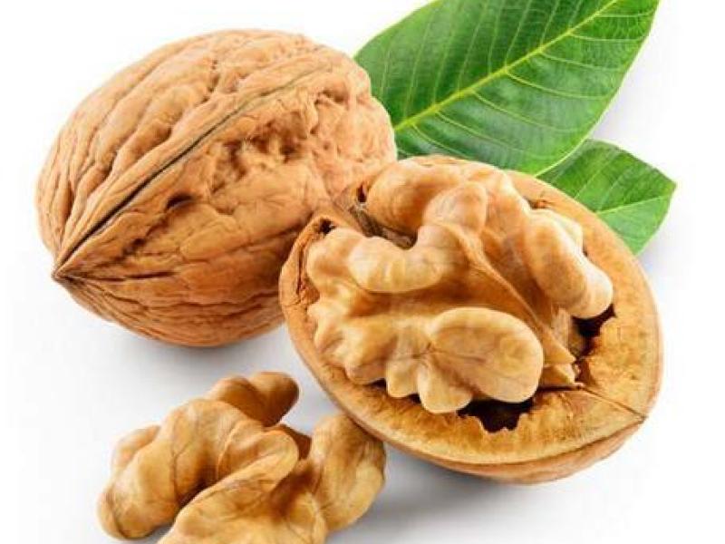 Endocarpe et cerneaux de noix