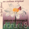 NATURE S logo