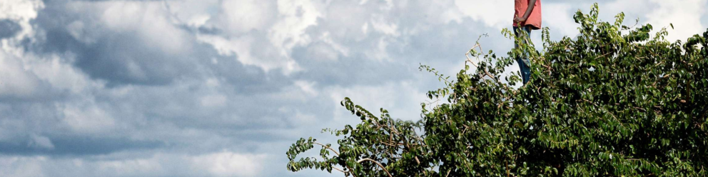 EXPOSITION | LE PRINTEMPS DES POÈTES