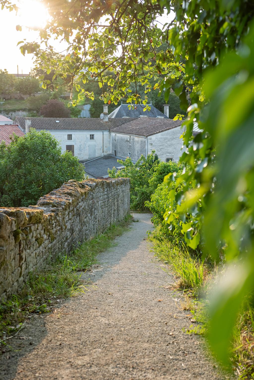 sur le chemin de l'école